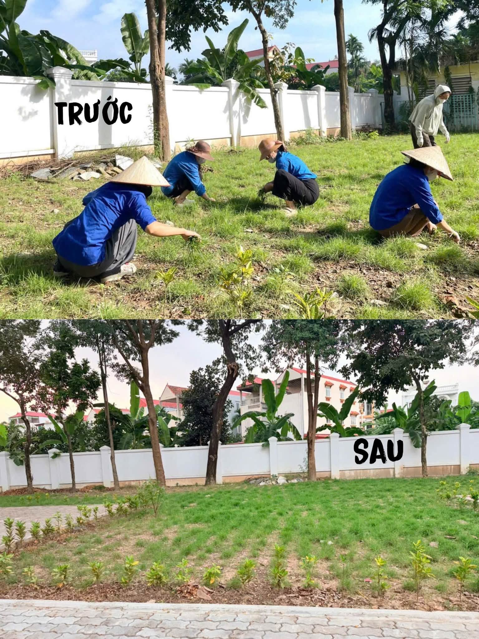 Có thể là hình ảnh về cỏ