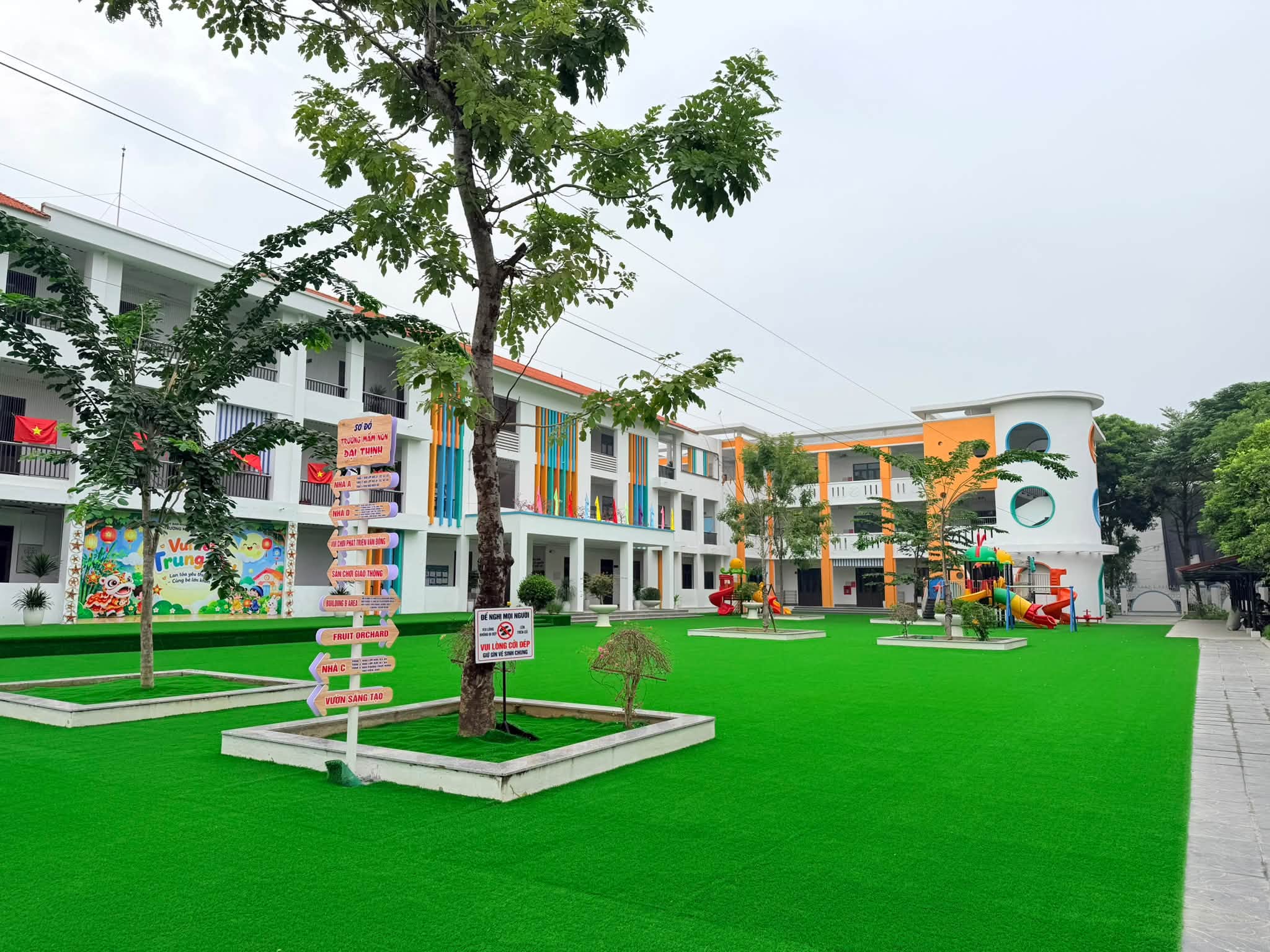 Có thể là hình ảnh về cỏ và văn bản